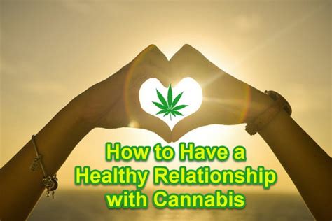 Taking Control: Maintaining a Healthy Relationship with Cannabis Dreaming