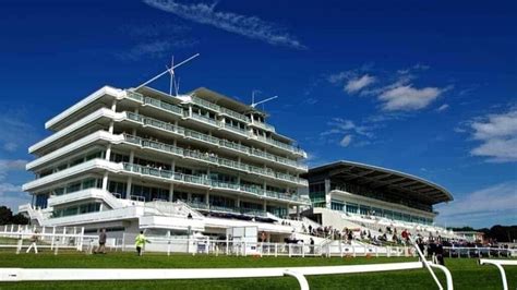 Taking it to the Track: Experiencing the Thrills of Driving on a Racecourse