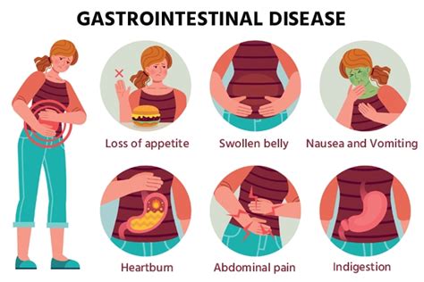 Taming the Beast: Symptoms and Signs of an Upset Stomach