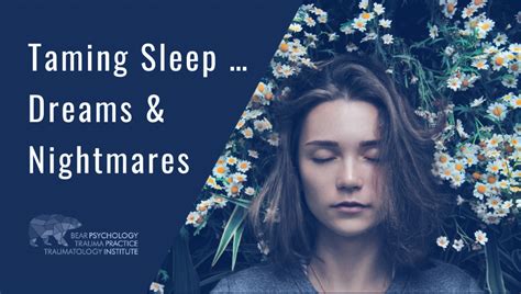 Taming the Nightmares: Strategies to Cope with Disconcerting Dreams