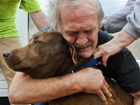 Tapping into Support from the Community for Reuniting with Your Beloved Canine Companion