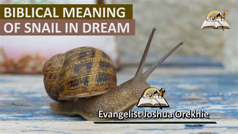 Tapping into Your Subconscious: Unveiling the Emotional Significance of Snails in Dreams