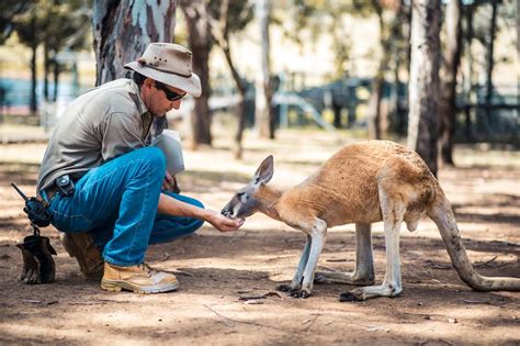 Telepathic Tales: Investigating the Mythical Accounts of Humans Engaging in Mind Communication with Kangaroos