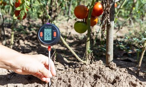 Testing and Monitoring Soil Moisture Levels: Importance and Methods