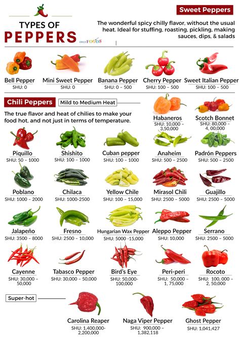 The Abundance of Pepper Varieties: From Mild to Spicy