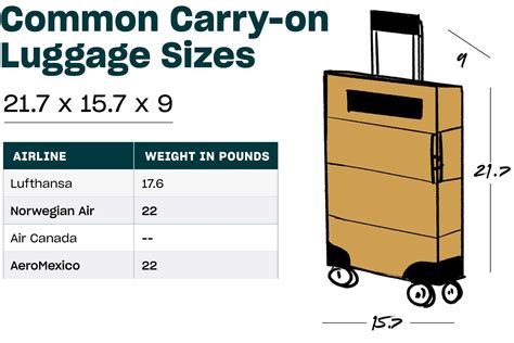 The Adaptability Factor: How a Petite Luggage Can Cater to Various Travel Requirements