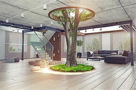 The Advantages of Biophilic Design: Incorporating Nature into the Workplace