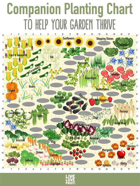 The Advantages of Companion Planting in Your Spring Garden