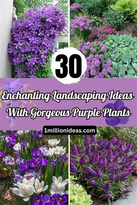 The Advantages of Cultivating an Enchanting Landscape