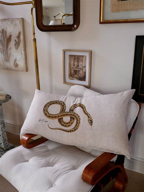 The Advantages of Fantasizing about Serpent Cushions