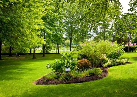 The Advantages of Having a Thriving Verdant Yard