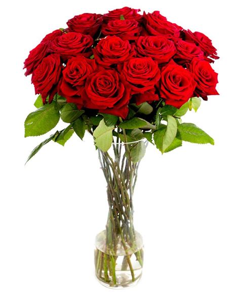 The Advantages of Red Roses with Extended Stems in Enhancing Amorous Connections