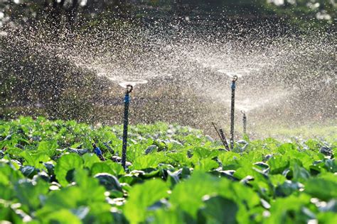 The Advantages of Using Warm Water Irrigation