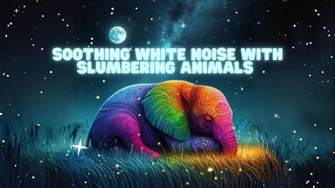 The Advantages of White Noise for Your Slumbering Kitty