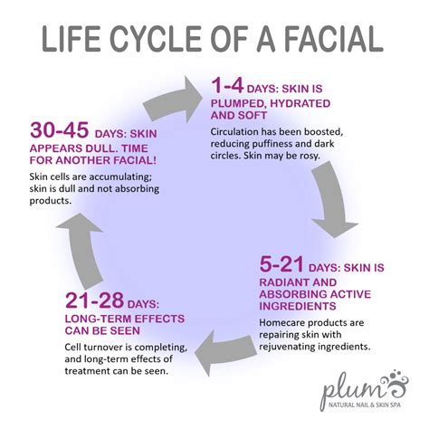 The Allure of Facial Metamorphosis