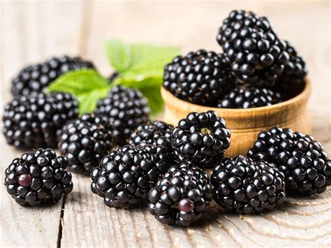 The Allure of Freshly Selected Blackberries