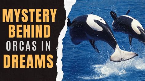 The Allure of Nature: Analyzing Orca Behavior in Dreams