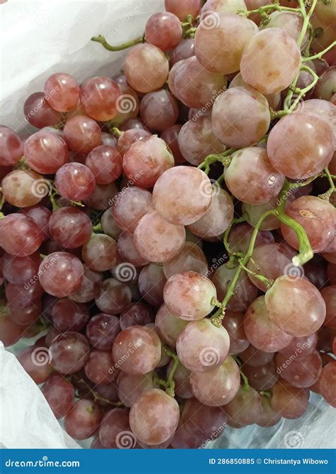 The Allure of Purple Grapes: A Feast for the Eyes