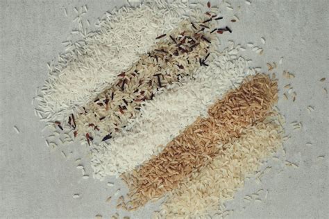 The Allure of Rice Flour: Exploring its Multifaceted Applications