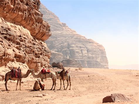 The Alluring Landscapes and Captivating Natural Marvels of the Mesmerizing Middle East