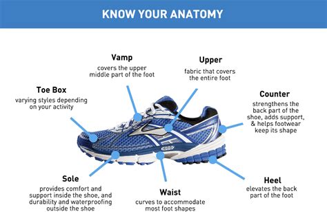 The Anatomy of Comfortable Footwear