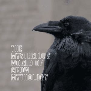 The Ancient Connection: Crows in Mythology and Folklore