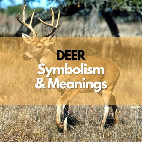 The Ancient Connection: Deer Symbolism through History