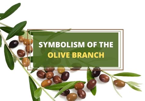 The Ancient History of Olives and Their Symbolic Significance