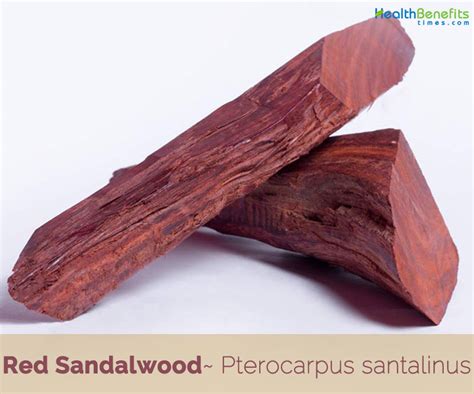 The Ancient Origins of Red Sandalwood in Traditional Practices