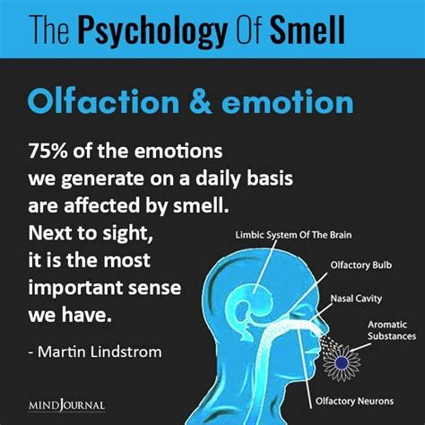 The Aroma of Feelings: Comprehending the Emotional Connections of Dream Blossoms