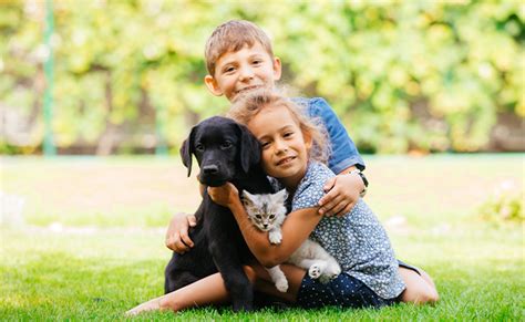 The Arrival: Preparing Your Home for a New Four-Legged Family Member