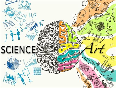 The Art and Science of Skull Preparation