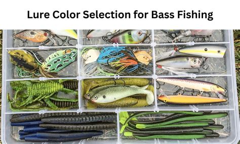 The Art of Bait Selection: Decoding the Science Behind Effective Lure Choice