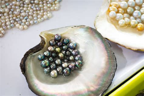 The Art of Cultivating Pearls