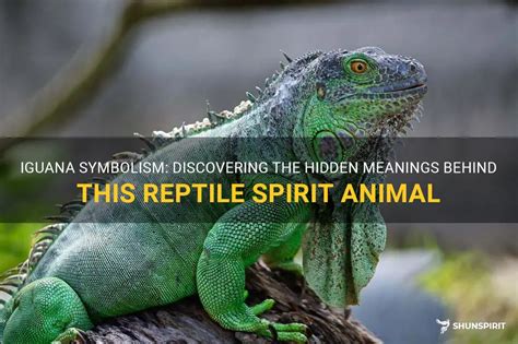 The Art of Decoding the Symbolic Meanings of the Black Reptile in Dreams