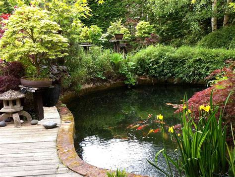 The Art of Designing a Tranquil Oasis - Creating the Perfect Koi Pond