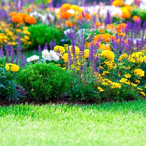 The Art of Designing a Vibrant Flower Bed