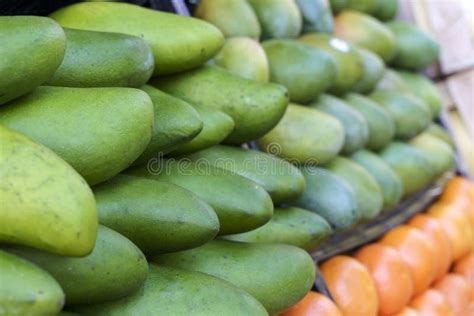 The Art of Harvesting Ripe and Sweet Mangoes