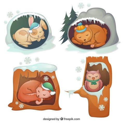 The Art of Hibernation: Finding Comfort in the Frosty Season