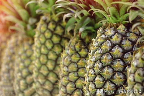 The Art of Ripening: Techniques to Ensure Juicy and Sweet Pineapples