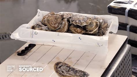 The Art of Shucking: Mastering the Skill to Savor the Delights of Oysters