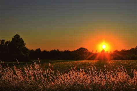 The Artistry Behind Creating Perfect Compositions in Photography of the Setting Sun