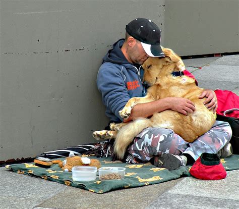 The Aspiration of Welcoming a Homeless Pooch: A Heartening Anecdote of Empathy and Companionship