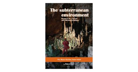 The Astonishing Biodiversity of Subterranean Environments