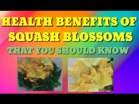 The Astonishing Health Benefits of Squash Blossoms You Should be Aware of