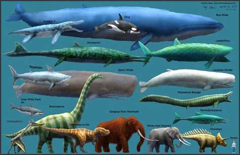 The Astonishing Size of Blue Whales: Exploring the Largest Animal on Earth