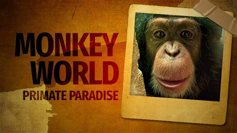 The Astonishing Splendor of Primate Paradise