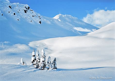 The Beauty of Pristine Snow Blanketing the Earth