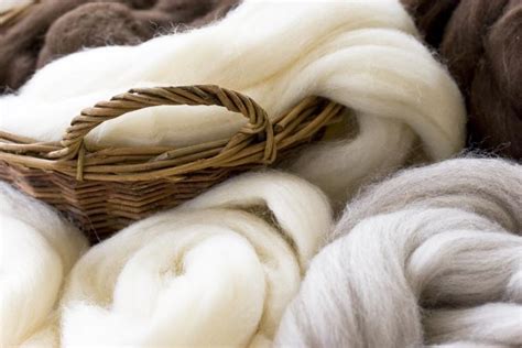 The Beauty of Wool: Exploring its Natural Aesthetics