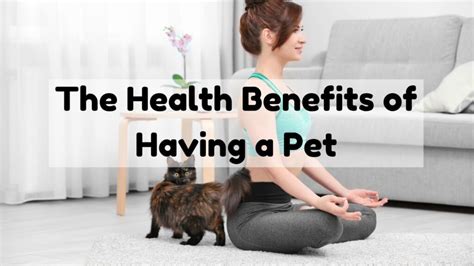 The Benefits of Having a Cat: Companionship, Stress Relief, and More